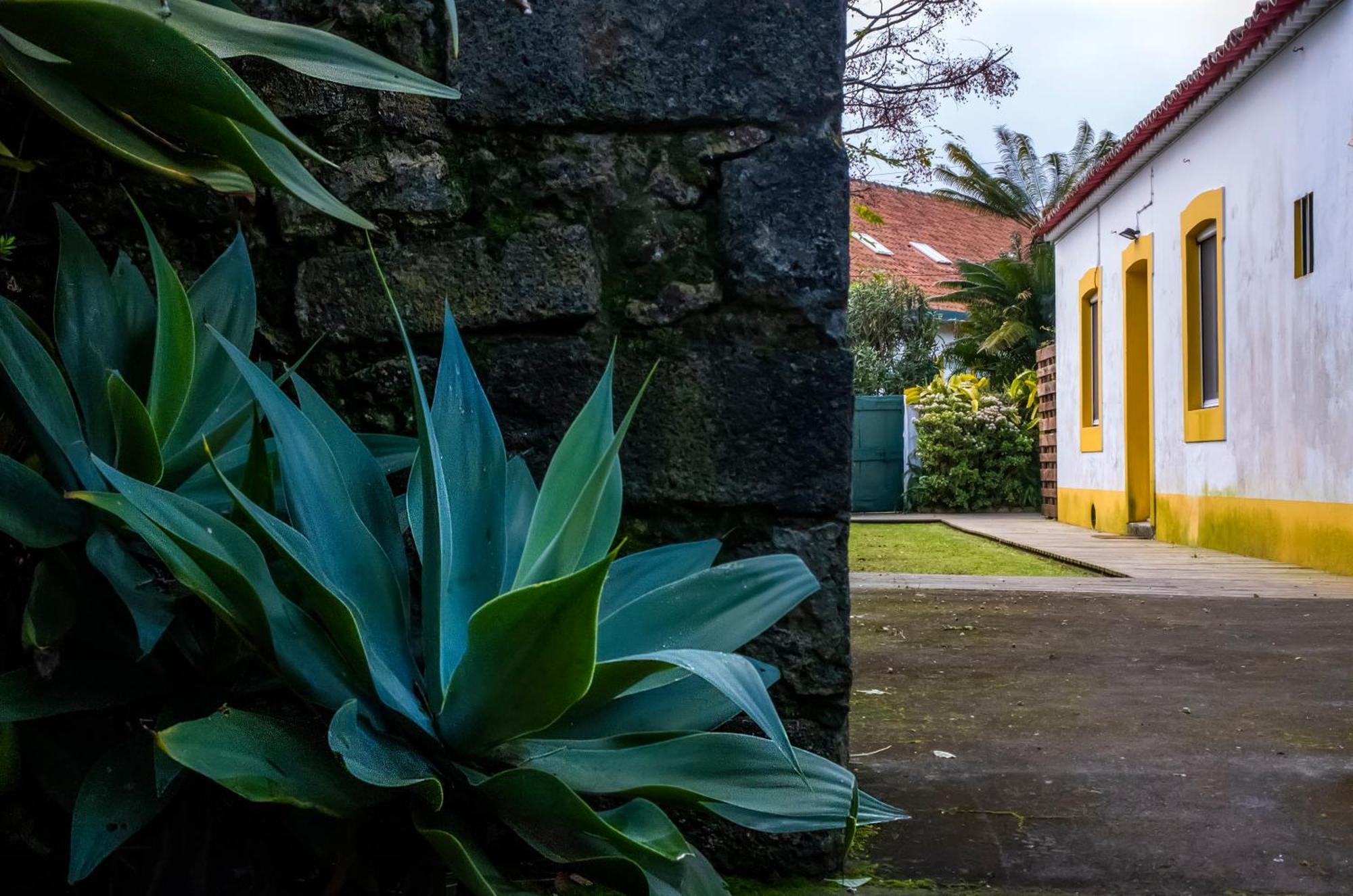 Casa Villa Cottage ポンタ・デルガダ エクステリア 写真